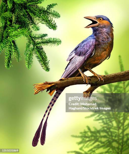 confuciusornis bird perched on a tree limb. - confuciusornis stock illustrations