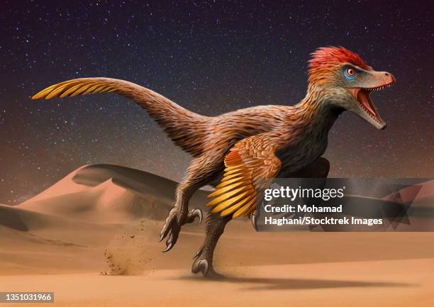 velociraptor mongoliensis running across the mongolian desert. - dromaeosauridae 幅插畫檔、美工圖案、卡通及圖標