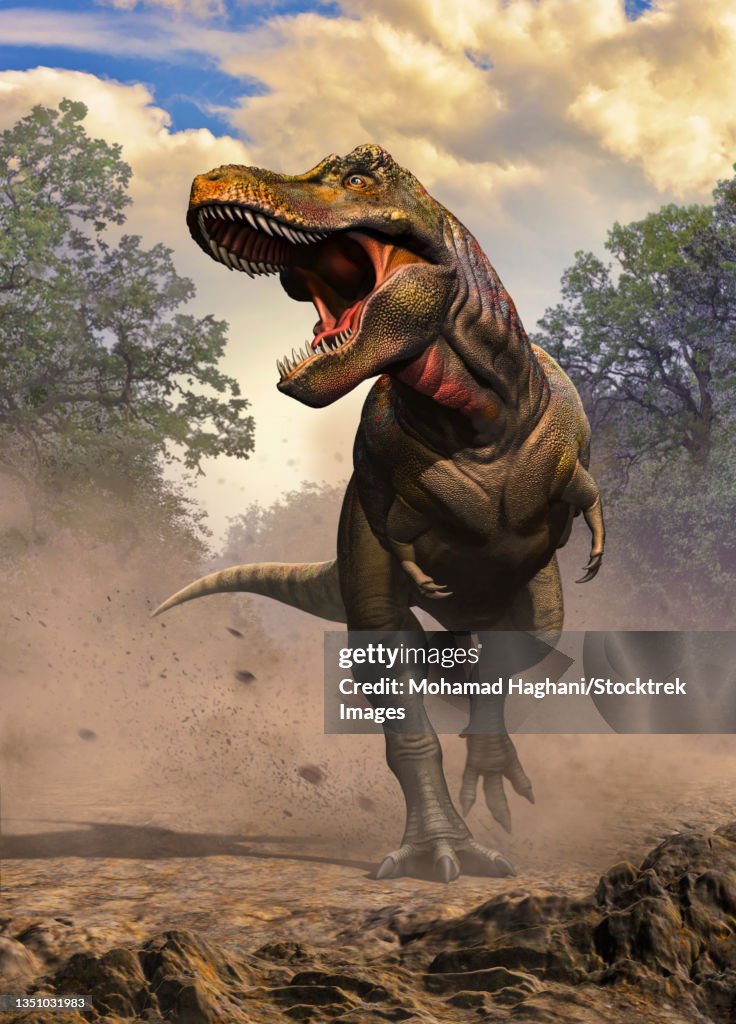 Zhuchengtyrannus running.