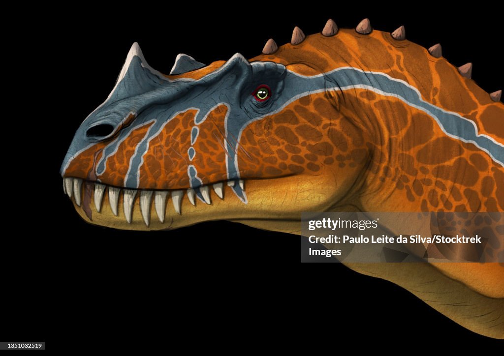 Portrait of a Ceratosaurus dinosaur.