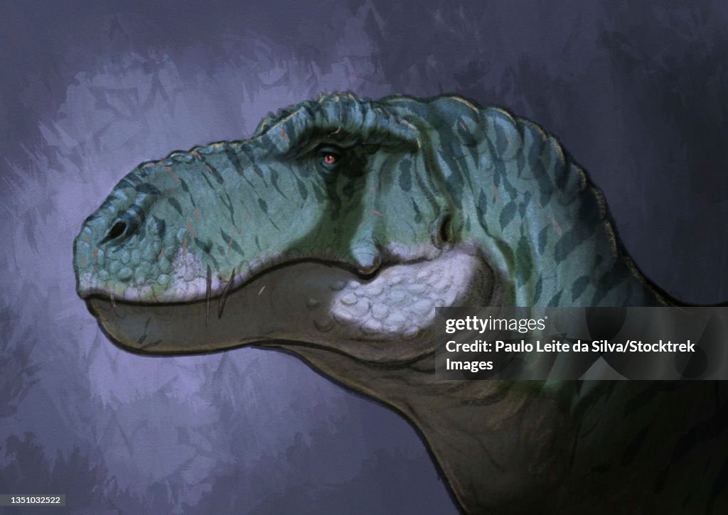 Portrait of a Tyrannosaurus rex.