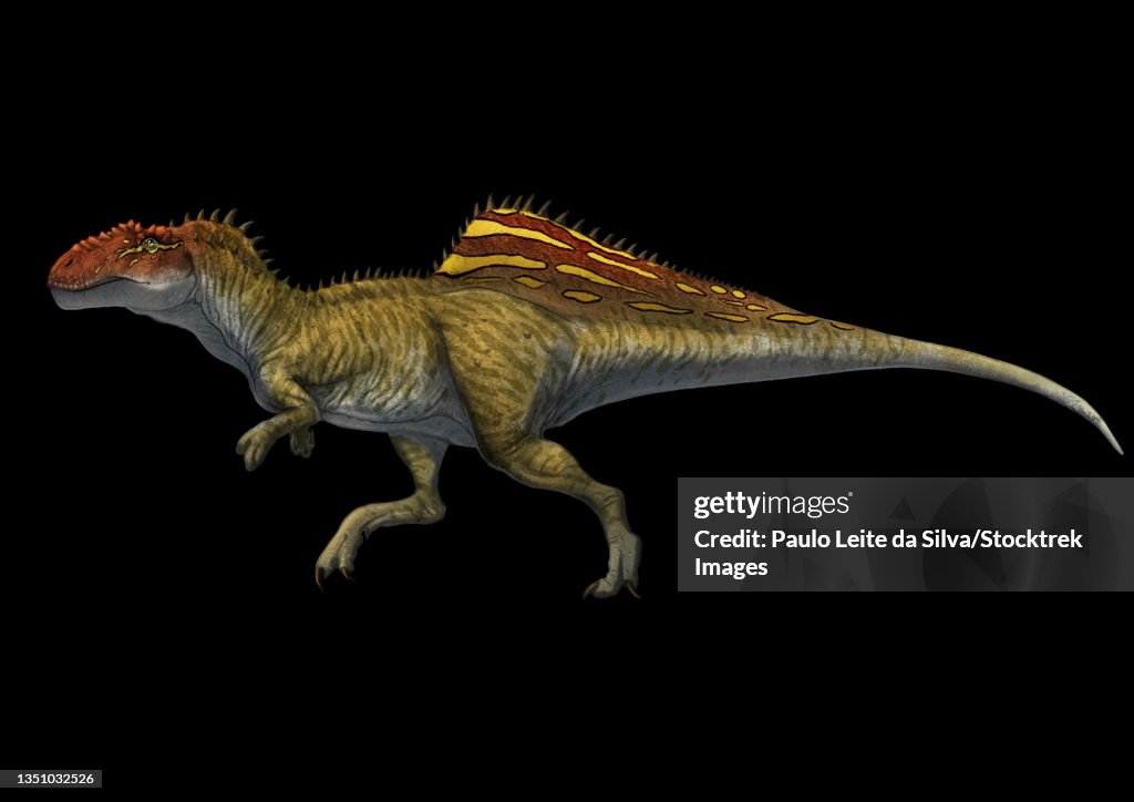 Lateral view of a Concavenator dinosaur.