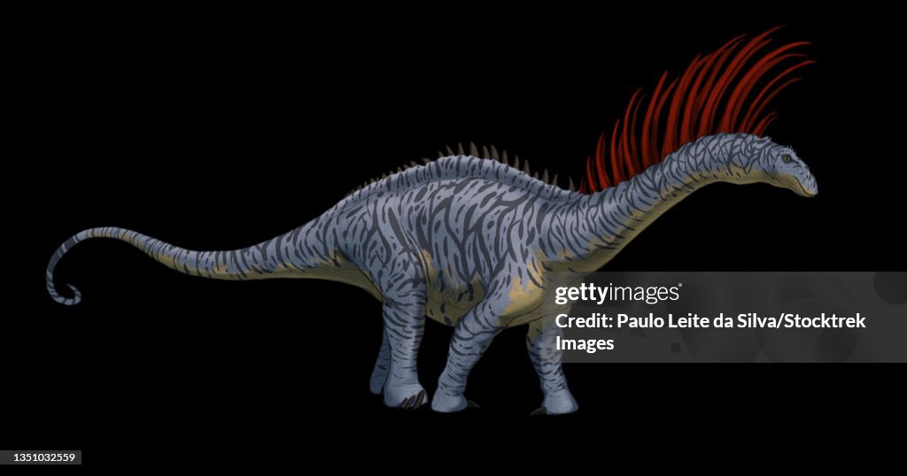 Lateral view of a Bajadasaurus dinosaur.