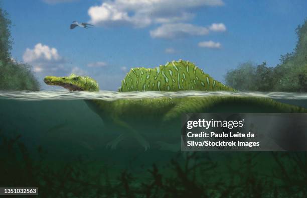 Spinosaurus Swimming In A River High-Res Vector Graphic