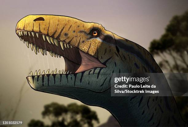 Portrait Of A Megalosaurus Dinosaur, Stock-Foto