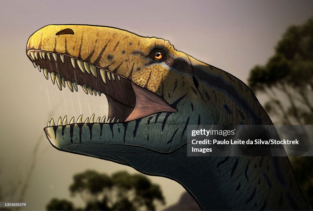 Portrait of a Megalosaurus dinosaur.