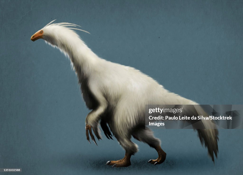 Lateral view of a Therizinosaurus.