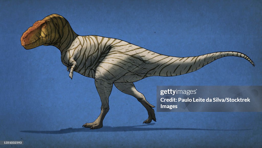 Lateral view of a Tyrannosaurus rex.