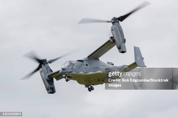 a u.s. air force cv-22b osprey. - osprey stock pictures, royalty-free photos & images