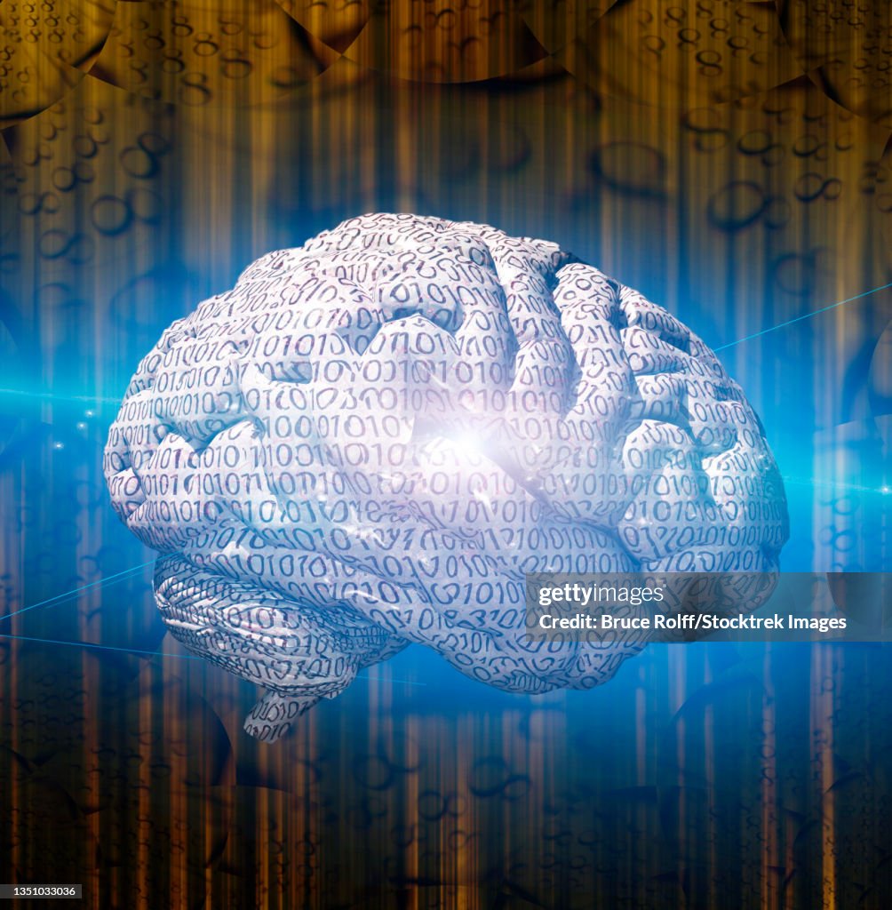 Brain Code/images Human Brain With Binary Code High-Res Vector Graphic - Getty Images