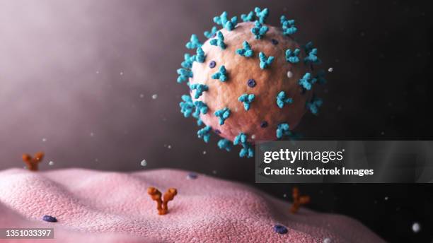 biomedical illustration of lassa virus attaching to cell. - arenavirus stock illustrations