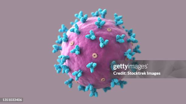 biomedical illustration of a lassa virus. - arenavirus stock illustrations