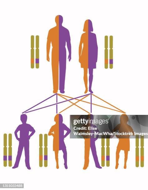 Recessive Inheritance Pattern Infographic Showing Inheritance Pattern For Autosomal Recessive Genes ...