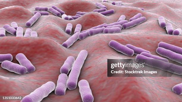 microscopic view of clostridium perfringens bacteria inside human body. - ウェルシュ菌点のイラスト素材／クリップアート素材／マンガ素材／アイコン素材