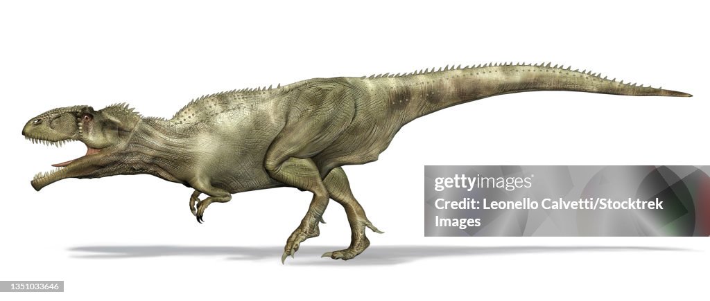 3d Illustration Of A Giganotosaurus Dinosaur Side View High Res Vector 3d-illustration-of-a-giganotosaurus-dinosaur-side-view-high-res-vector