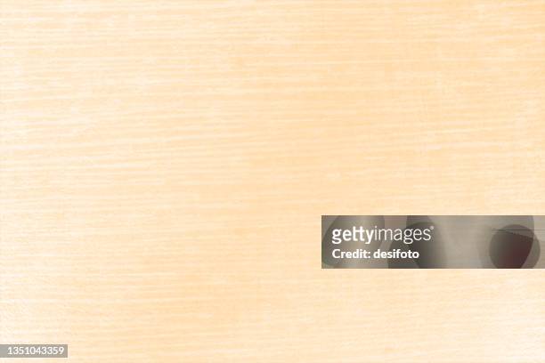 stockillustraties, clipart, cartoons en iconen met empty blank very light brown or beige coloured grunge wooden laminate textured effect vector backgrounds with subtle wood lines pattern all over - wood laminate flooring
