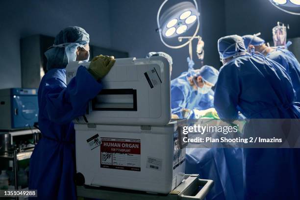 ice box for organ donation - operating room foto e immagini stock