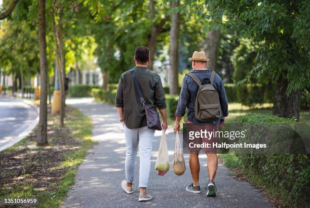 rear view of senior man with his mature son carrying shopping bags outdoors in park. - reusable bag isolated stock pictures, royalty-free photos & images