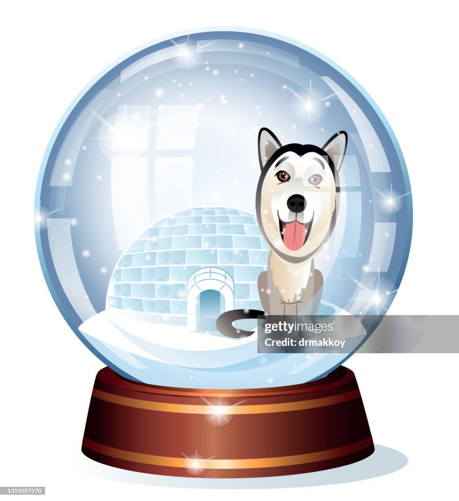 Malamute and Snow globe