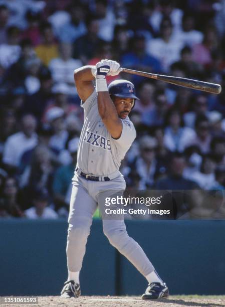 Julio Franco from the Dominican Republic and Shortstop, Second Baseman and First Baseman for the Texas Rangers prepares to bat during the Major...
