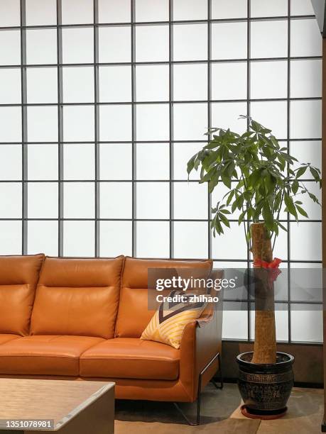 orange sofa and potted plants - pachira aquatica foto e immagini stock