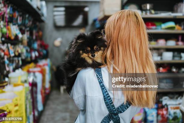 ペットショップの女性 - ペットショップ ストックフォトと画像