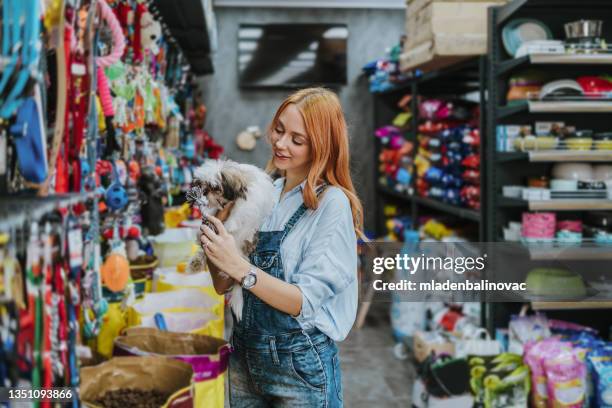 woman in pet shop - pet shop stock pictures, royalty-free photos & images