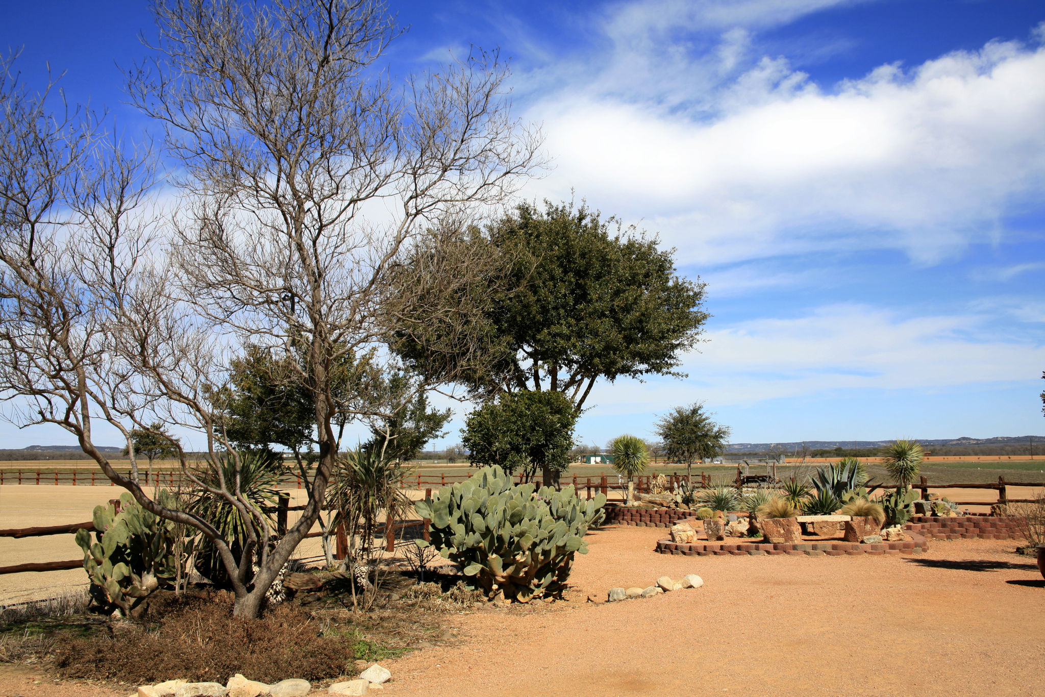 west texas garden