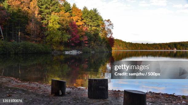 scenic view of lake by trees against sky,walden pond,united states,usa - walden pond stock pictures, royalty-free photos & images