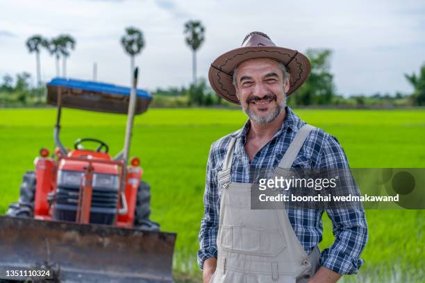 portrait of a handsome young farmer standing in a shirt and smiling at the camera, on a tractor and nature background. - rye - grain stock pictures, royalty-free photos & images