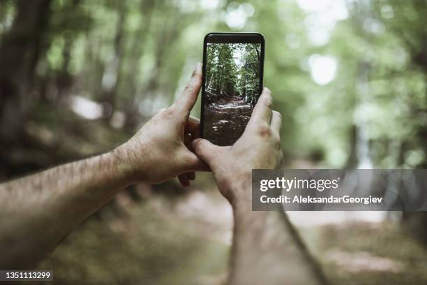 excursionista masculino tomando foto de teléfono inteligente de hermoso camino forestal - green pants fotografías e imágenes de stock