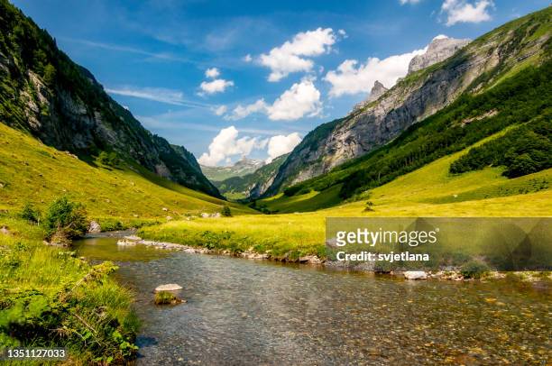 alpine river in a mountain valley, engstlenalp, innertkirchen, canton of berne, switzerland - swiss alps stock pictures, royalty-free photos & images