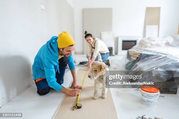 trabalhando juntos - renovação de casa - fotografias e filmes do acervo