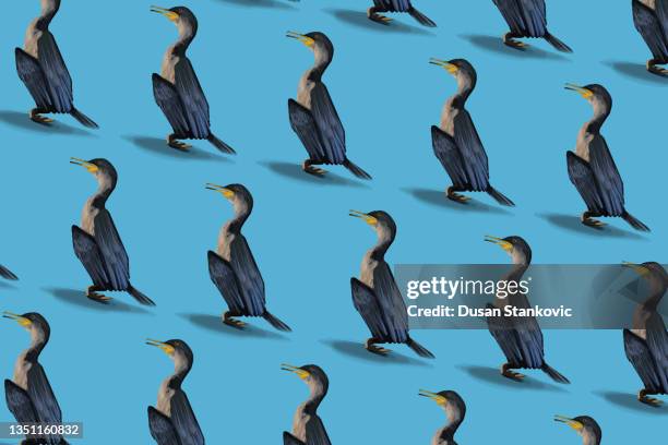 sea birds pattern - ocean garbage stock illustrations