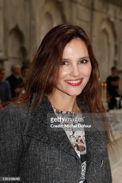 Virginie Ledoyen attends a photocall before the Chanel Paris-Bombay Show at Grand Palais on December 6, 2011 in Paris, France.