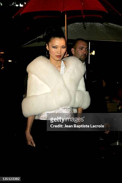 Model during 2005 Cannes Film Festival - "The Myth" Party - Arrivals at Majestic Beach in Cannes, France.