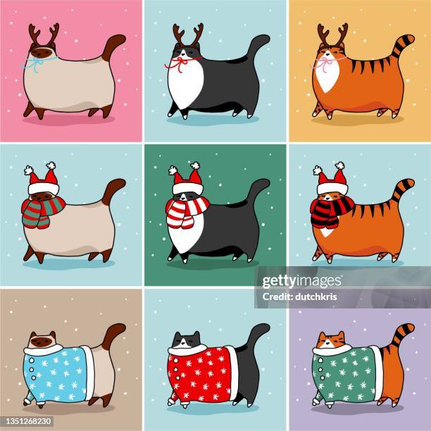 stockillustraties, clipart, cartoons en iconen met christmas cat set - traditionele koksmuts