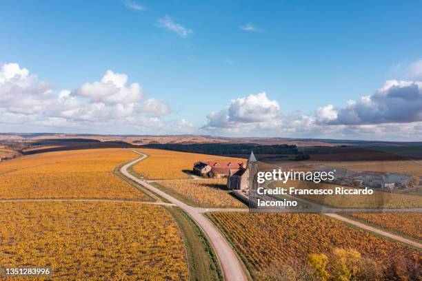 france, bourgogne, burgundy, cote d'or. church on the gran cru route near chably, prehy, vineyards from above in autumn - burgundy stockfoto's en -beelden