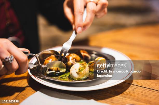 escargot, dijon, burgundy, france - snail stock pictures, royalty-free photos & images