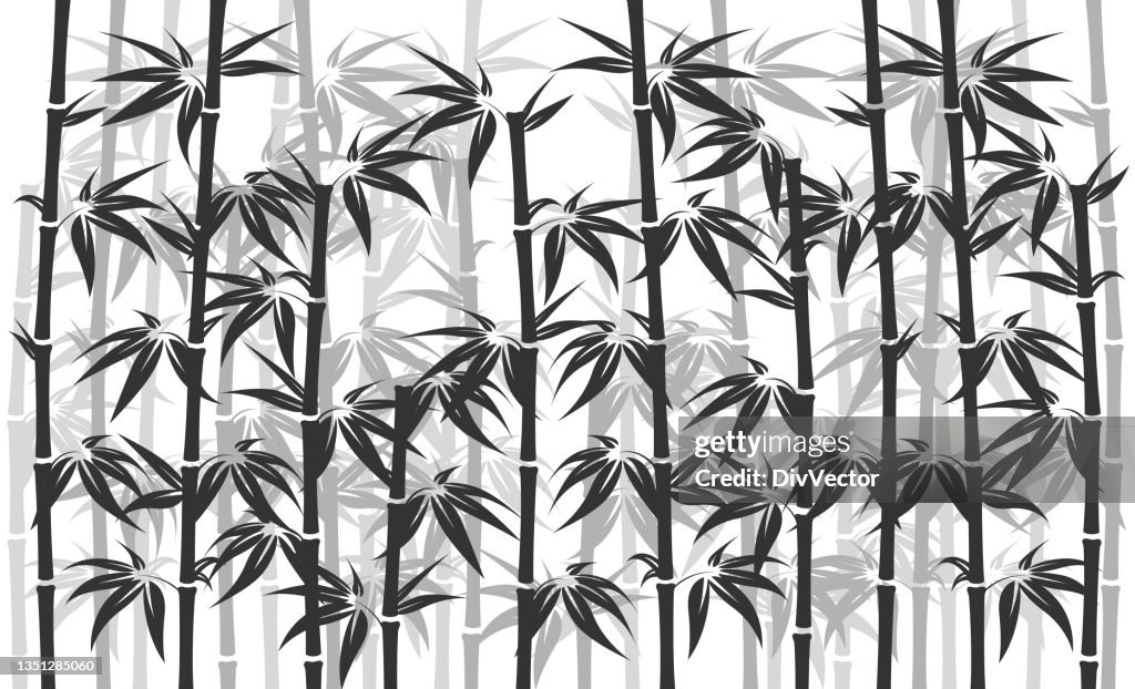 Bamboo Forest Vector Background High-Res Vector Graphic - Getty Images