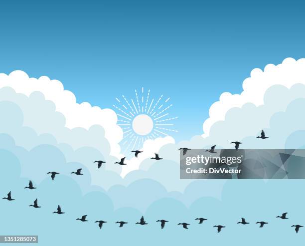 flock of birds flying vector background - flock wallpaper stock illustrations