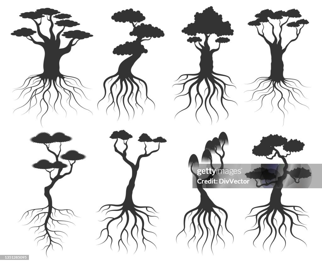 Tree With Roots Vector Set High-Res Vector Graphic - Getty Images