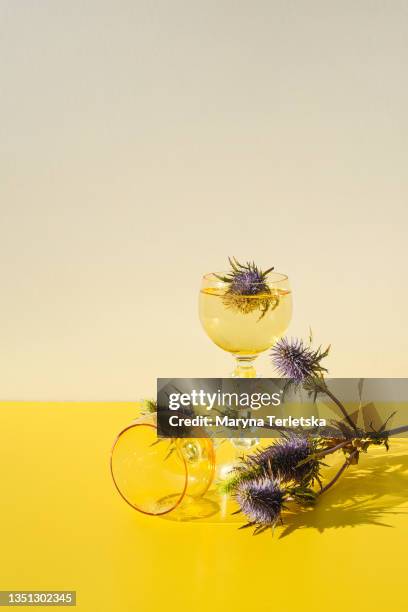 glass with champagne and a thorn on a yellow background. - topfpflanze stock-fotos und bilder