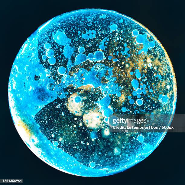close-up of water against black background,lille,france - petri dish stock pictures, royalty-free photos & images