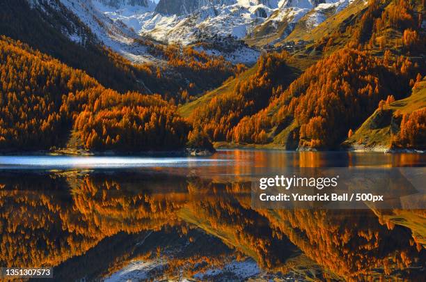 scenic view of lake by trees during autumn,tignes,france - tignes stockfoto's en -beelden