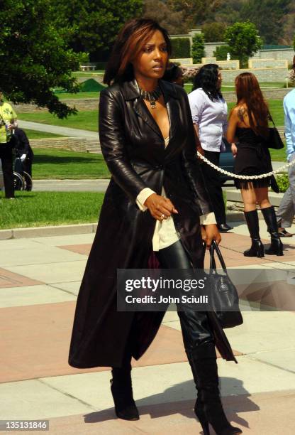 Nona Gaye during A Celebration of the Life of Rick James - Arrivals at Forest Lawn in Burbank, California, United States.