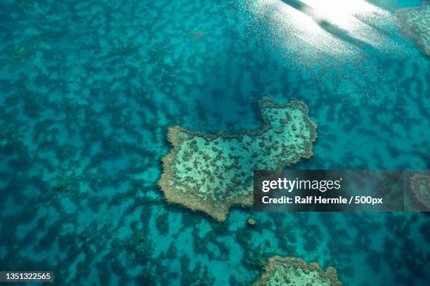 aerial view of sea,great barrier reef,queensland,australia - great barrier reef aerial ストックフォトと画像