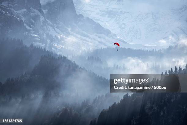 scenic view of mountains against sky during winter - plane in sky photos et images de collection