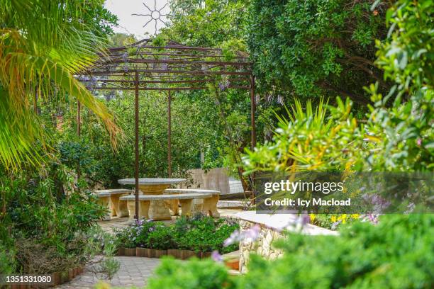a haven of peace - courtyard garden stockfoto's en -beelden