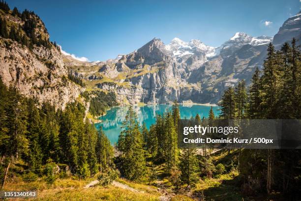 scenic view of pine trees and mountains against sky,oeschinensee,kandersteg,switzerland - lac-oeschinensee photos et images de collection